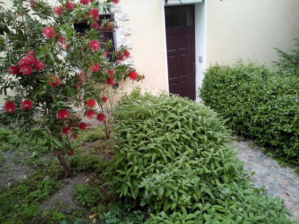 B&B Baddesalighes Bolotana ภายนอก รูปภาพ